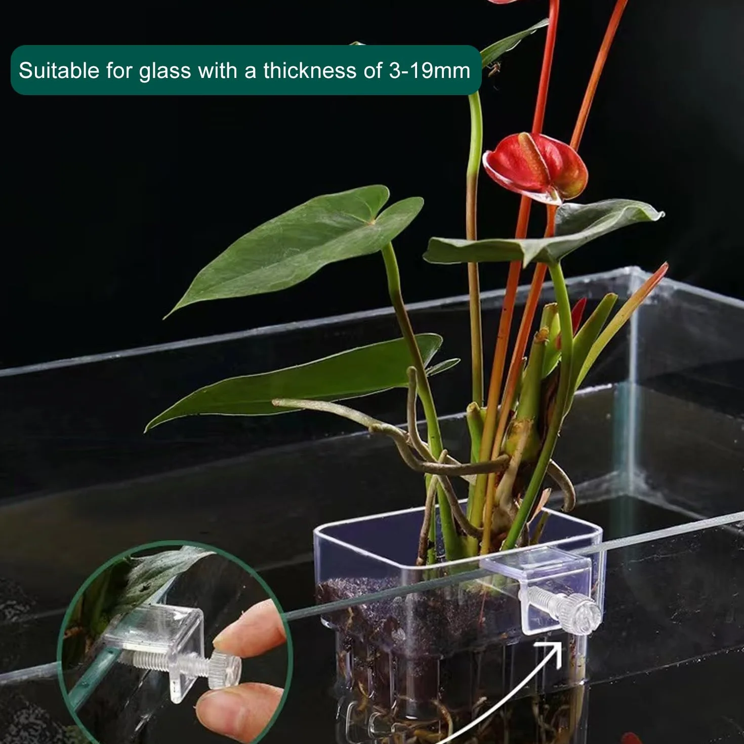 Support Plante D'Aquarium, Pot pour Plantes D'Aquarium, Acrylique Transparent Tasses Panier pour Plantes Aquatiques Suspension, Décoration pour Aquarium, 2 Pièces