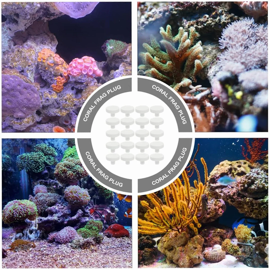 10 Pièces Corail Frag Plug Céramique Frag Station Aquarium Récif Base Support 2.3Cm