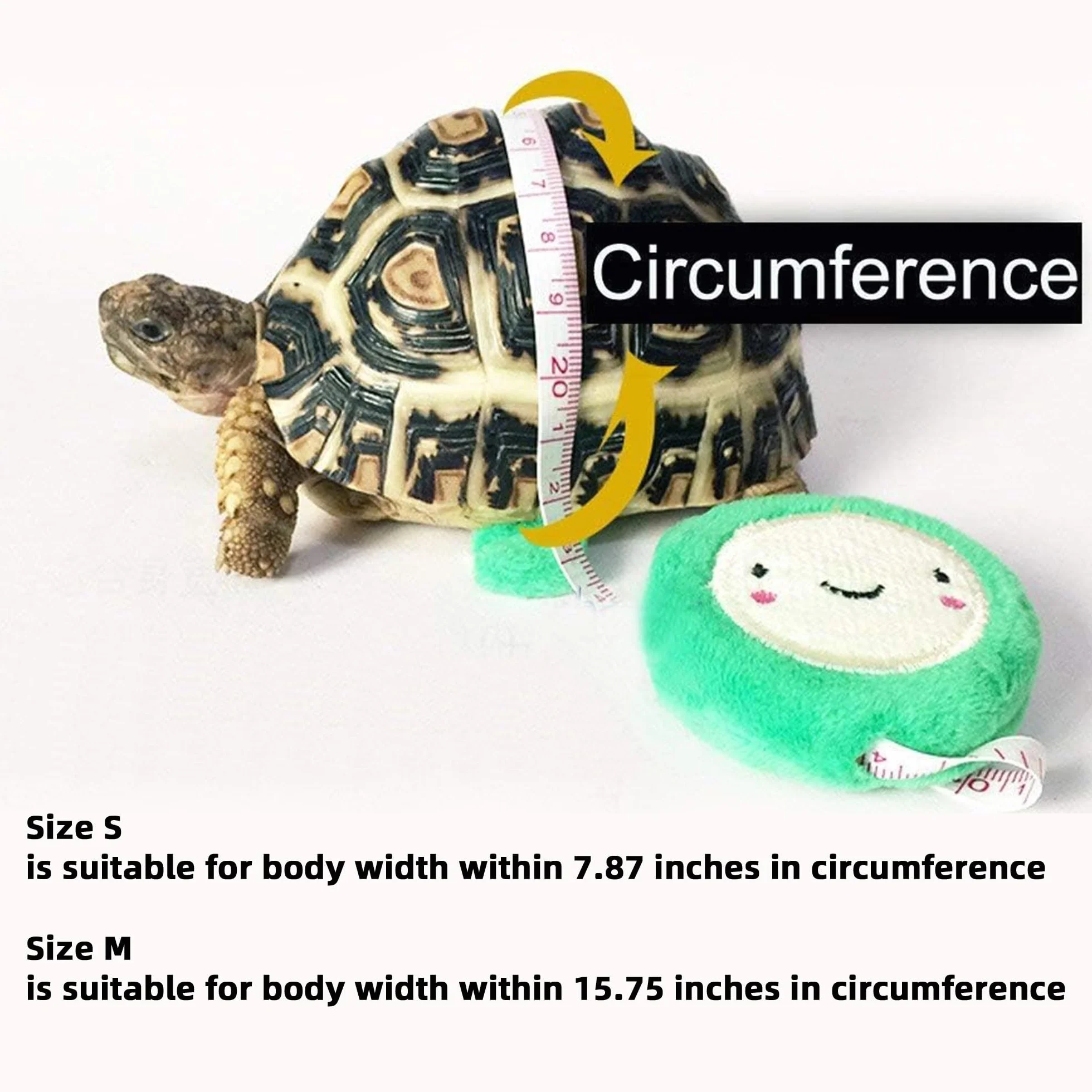 Harnais en Cuir pour Petite Tortue avec Laisse Réglable Noir M
