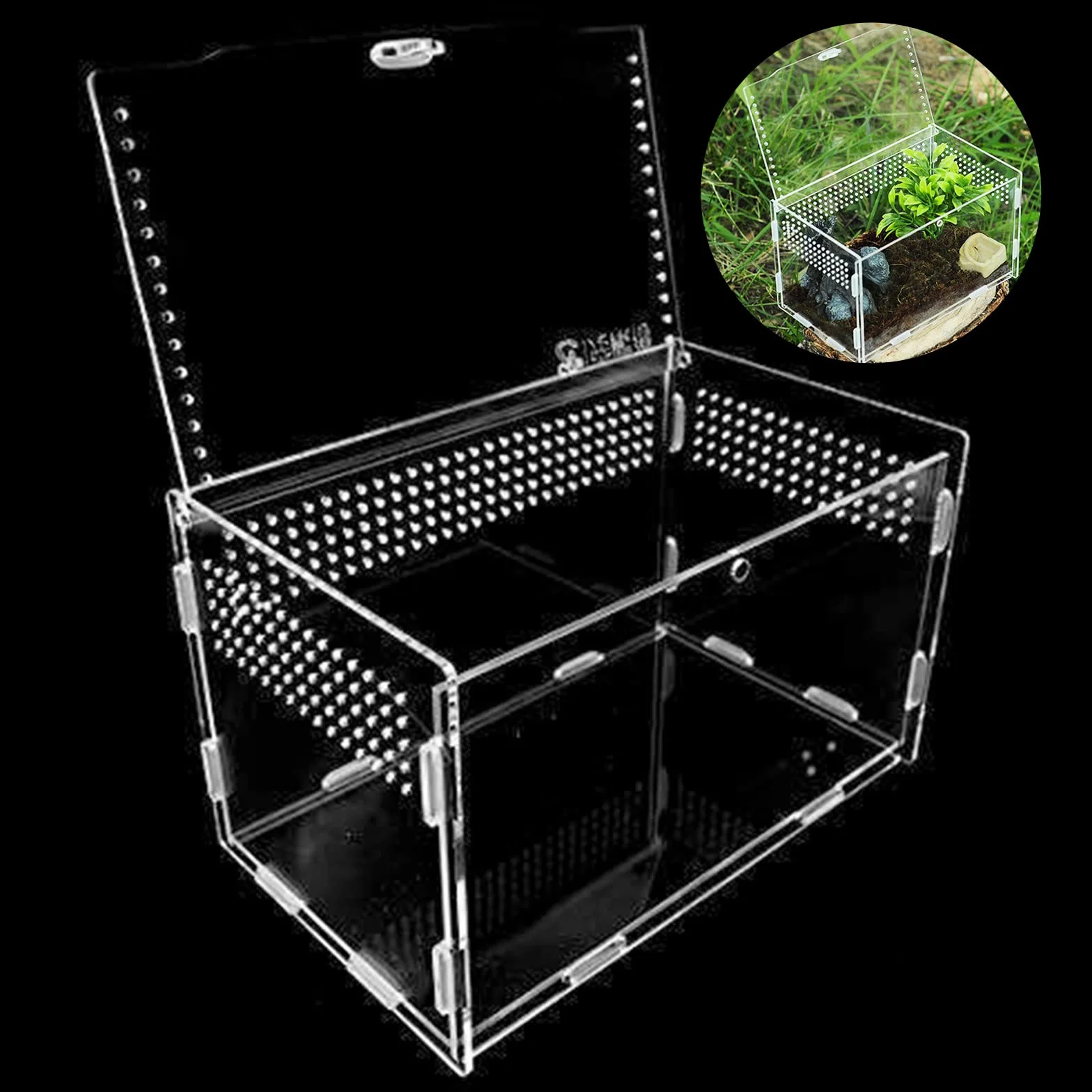 Nizirioo Boîte d'alimentation d'insectes 20cmx12cmx12cm Terrarium Reptile Transparent Portable