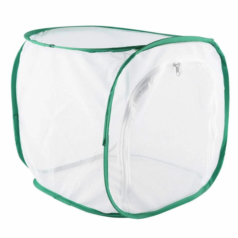Grande Cage d'élevage pour Insectes et Papillons - Habitat Portable en Fil de Polyester 30x30x30 cm