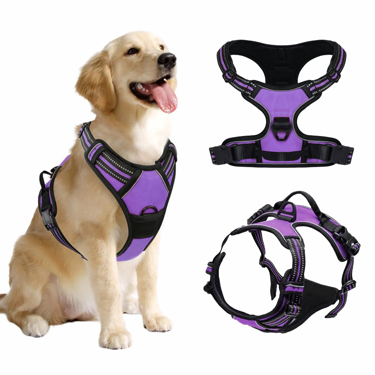 Harnais Chien No Pull Anti Traction, Violet M