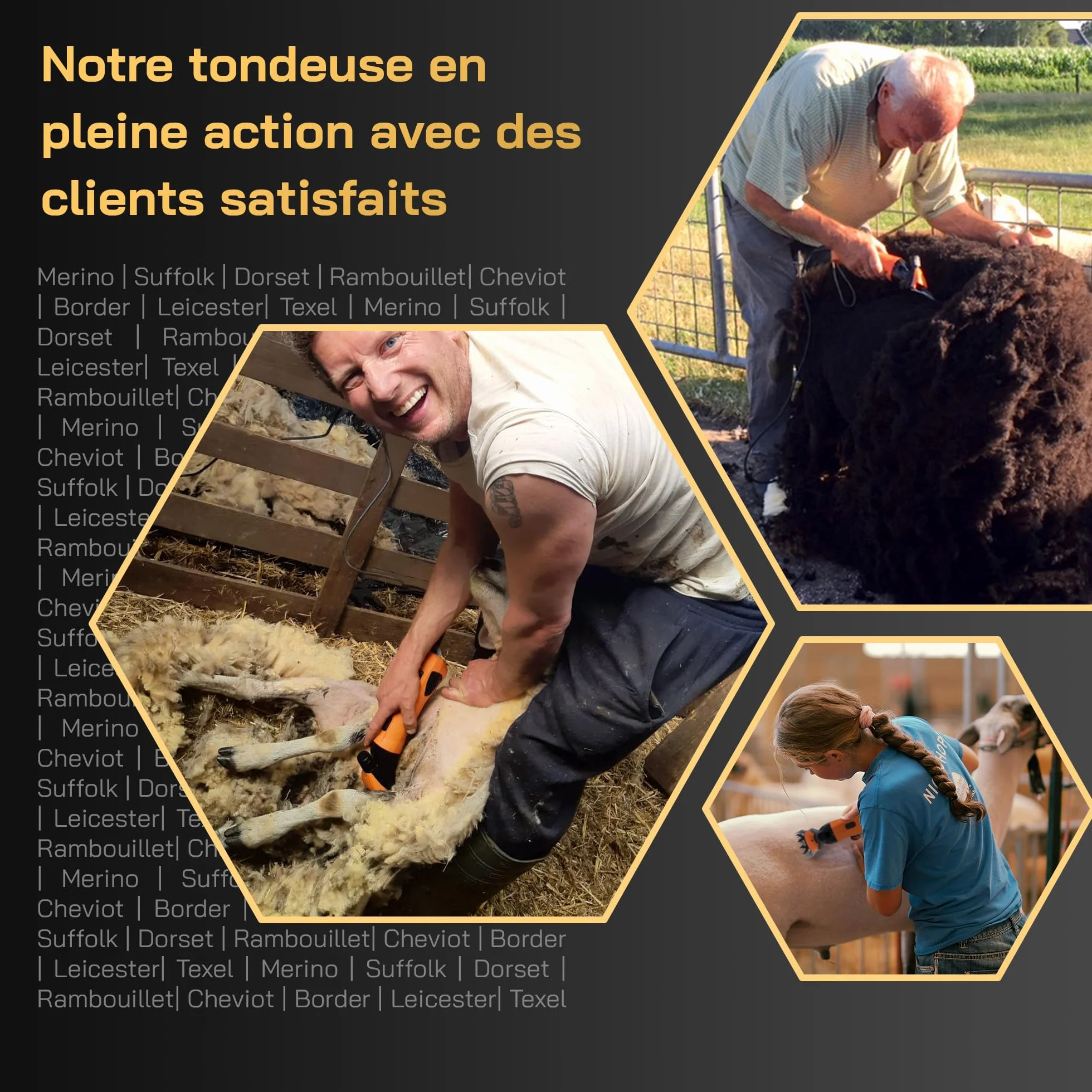 KNEIZER Tondeuse Électrique pour Moutons Kit Complet Lames Remplaçables Moteur Puissant
