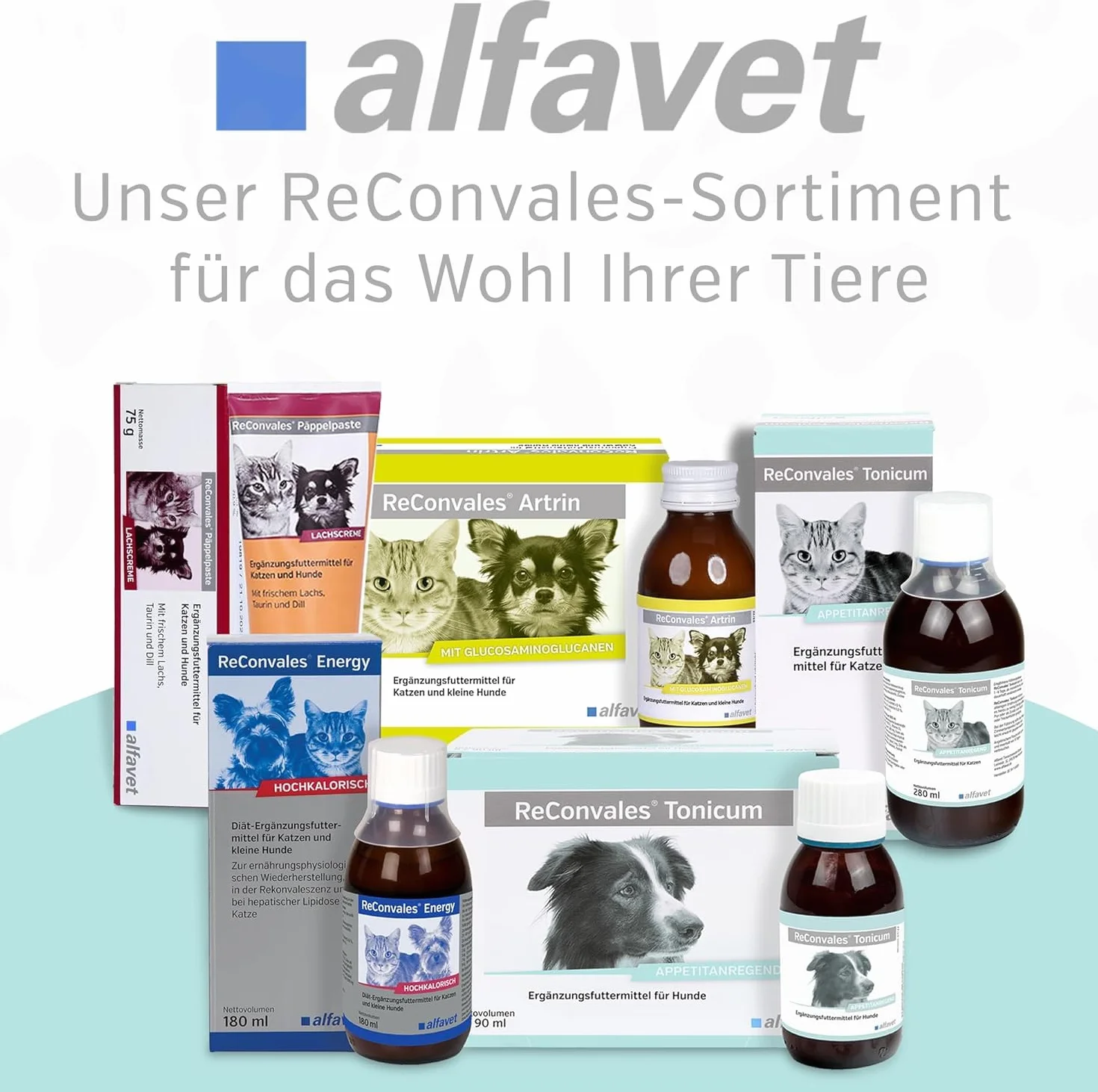alfavet ReConvales Tonicum Chat, complément alimentaire diététique pour convalescence et poids insuffisant, 12 x 45 ML