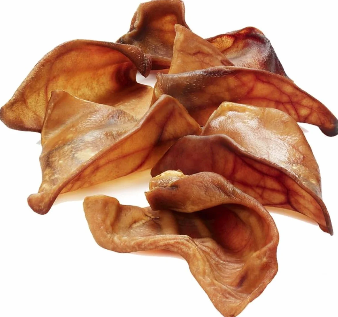 Friandises pour chien oreilles de porc séchées 50 pièces
