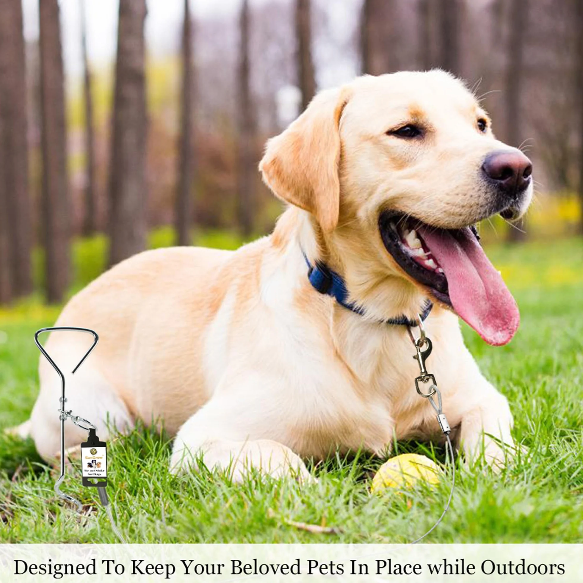 SunGrow Galvanisé Tie Out Leash Stake Anneau Rotatif à 360 degrés, 16,4 x 3,2 Pouces, Conception de Foret en Spirale, Facile à Utiliser et Pratique pour Sortir, Convient aux Chiens jusqu'à 80 Livres