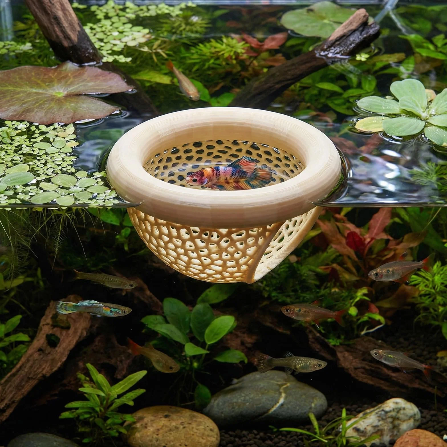 Cachette Flottante pour Betta 7 x 4 cm Décor D’Aquarium Tunnel Hamac Poissons Repos Nourrir Jouer