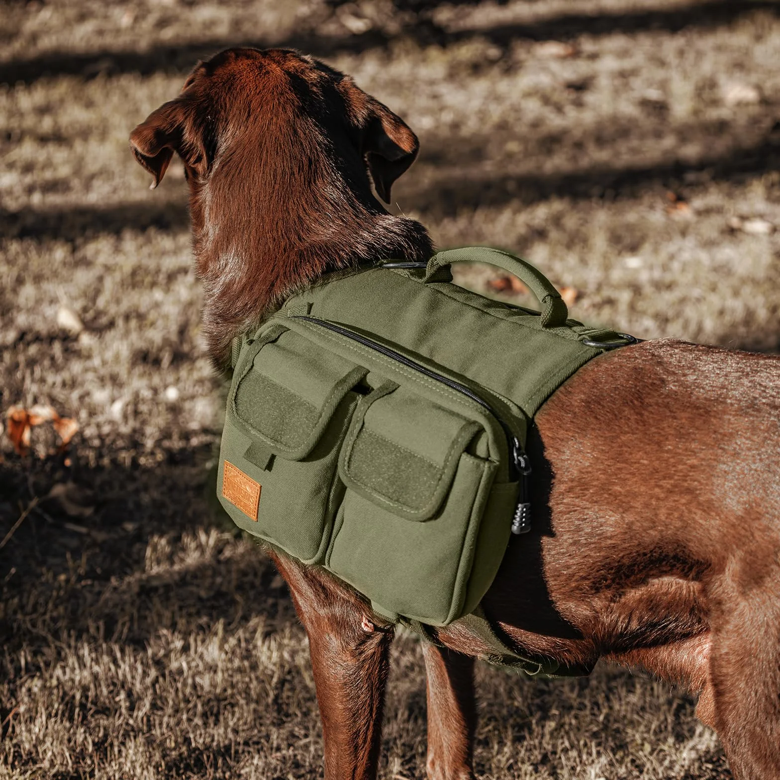 OneTigris Harnais pour Chien Hoppy Camper 3.0 Sac à Dos Vert