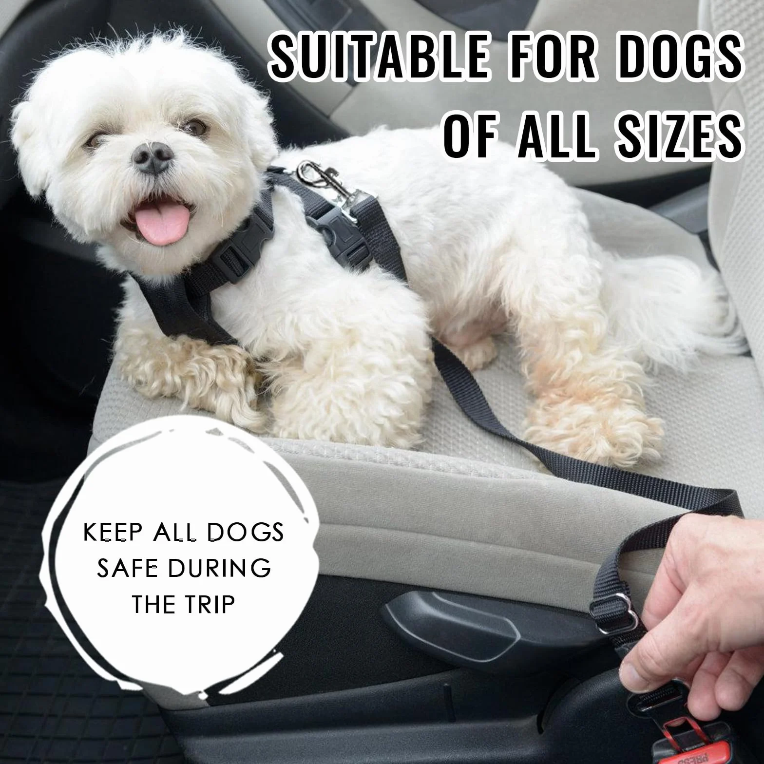 Ceinture de Sécurité Universelle pour Chien - Harnais Laisse Réglable pour Siège de Voiture - Animaux de Compagnie