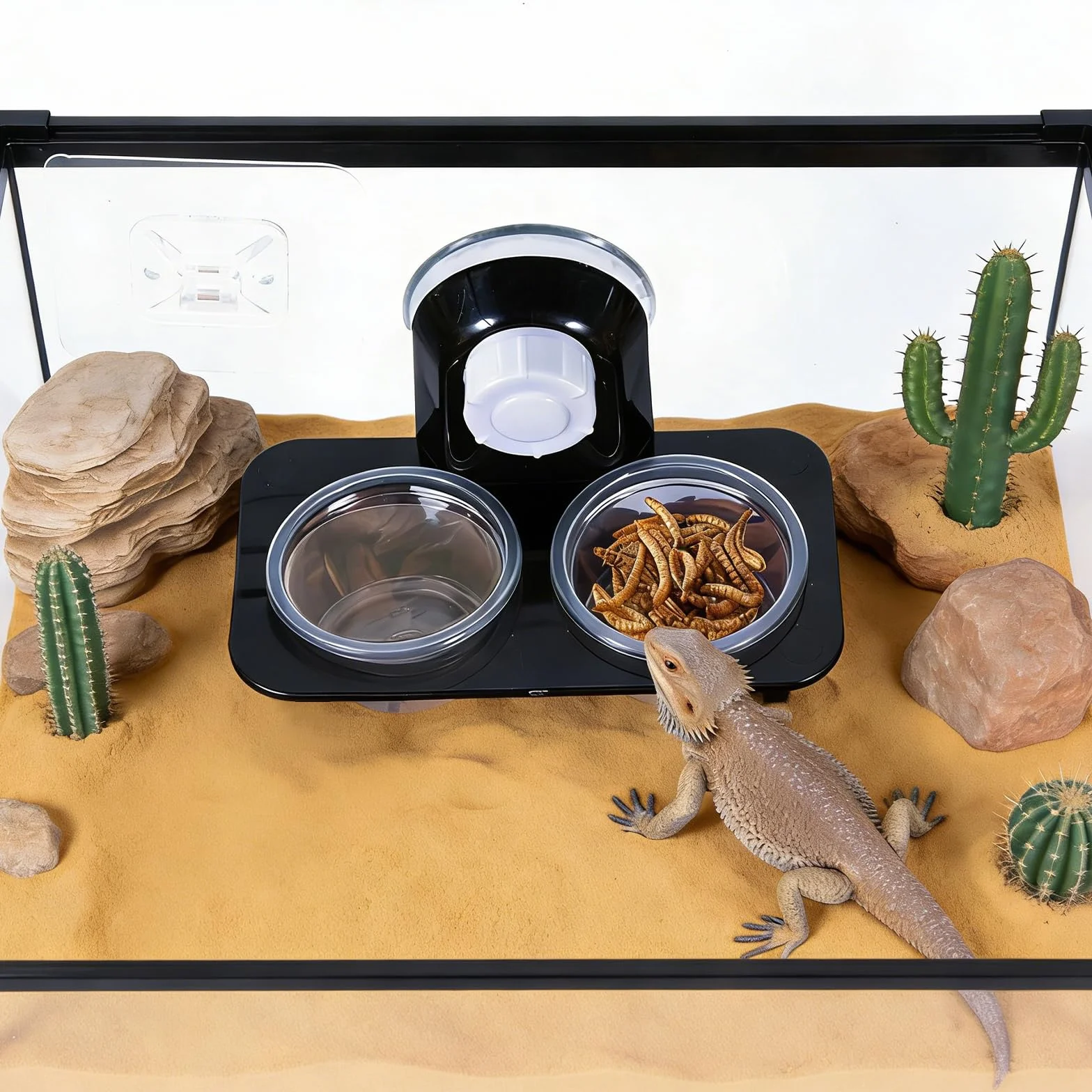Bol Alimentation Gecko Reptile Feeder Ventouse 32 Tasses Interchangeables