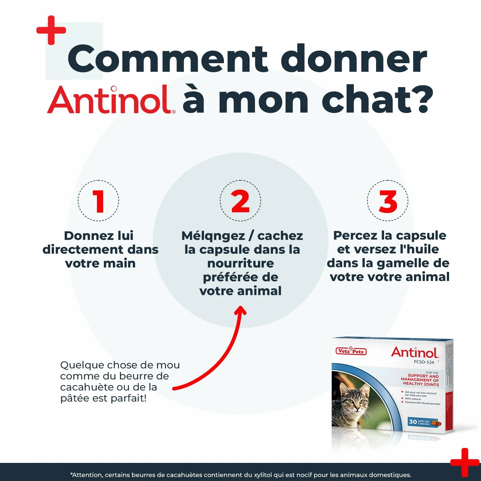 Antinol Complément Naturel des Chats Adultes Articulations Peau Huîtres Vertes Oméga 3 Vitamine E 90 Capsules