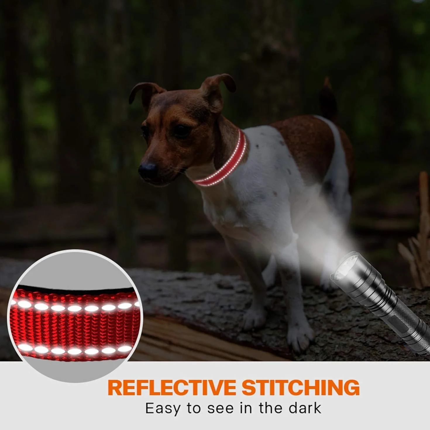 Collier pour Chien Réfléchissant Réglable Taglory, Verrou Sécurité Anti-Fugue, Nylon Résistant, Maille Respirante Rembourrée, Petit Chien, Visibilité Nuit, S, Rouge