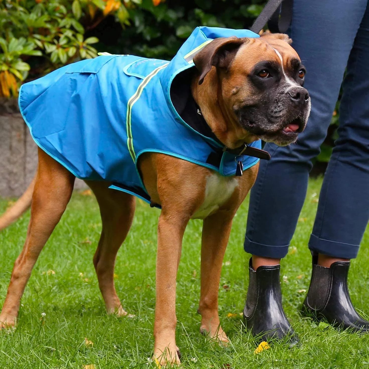 Bella & Balu Manteau de pluie imperméable pour chien avec capuche et réflecteurs