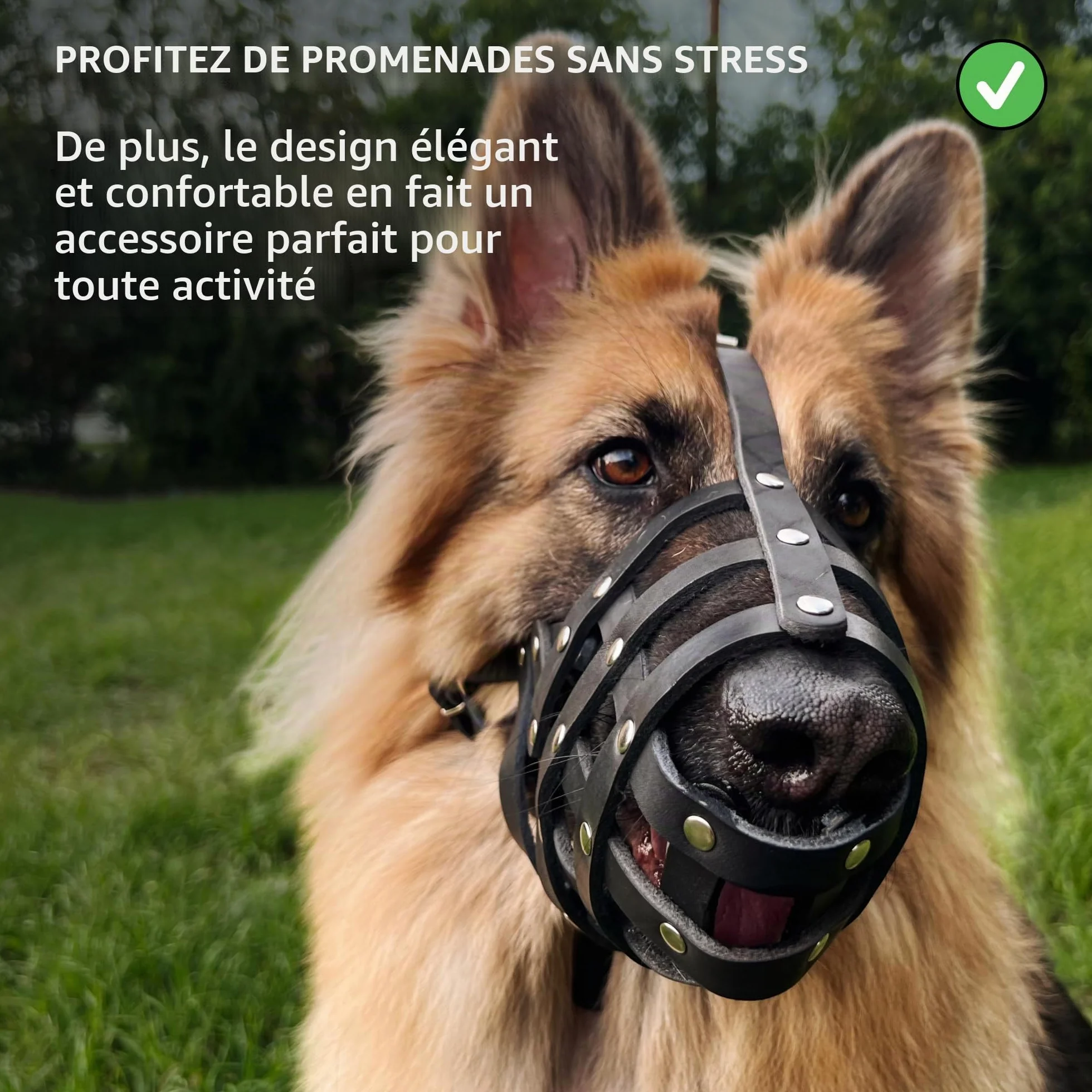 CollarDirect Muselière pour Chien Berger Allemand Dalmatien Doberman Setter Panier en Cuir Medium Large Breeds Black Brown (L, Black)