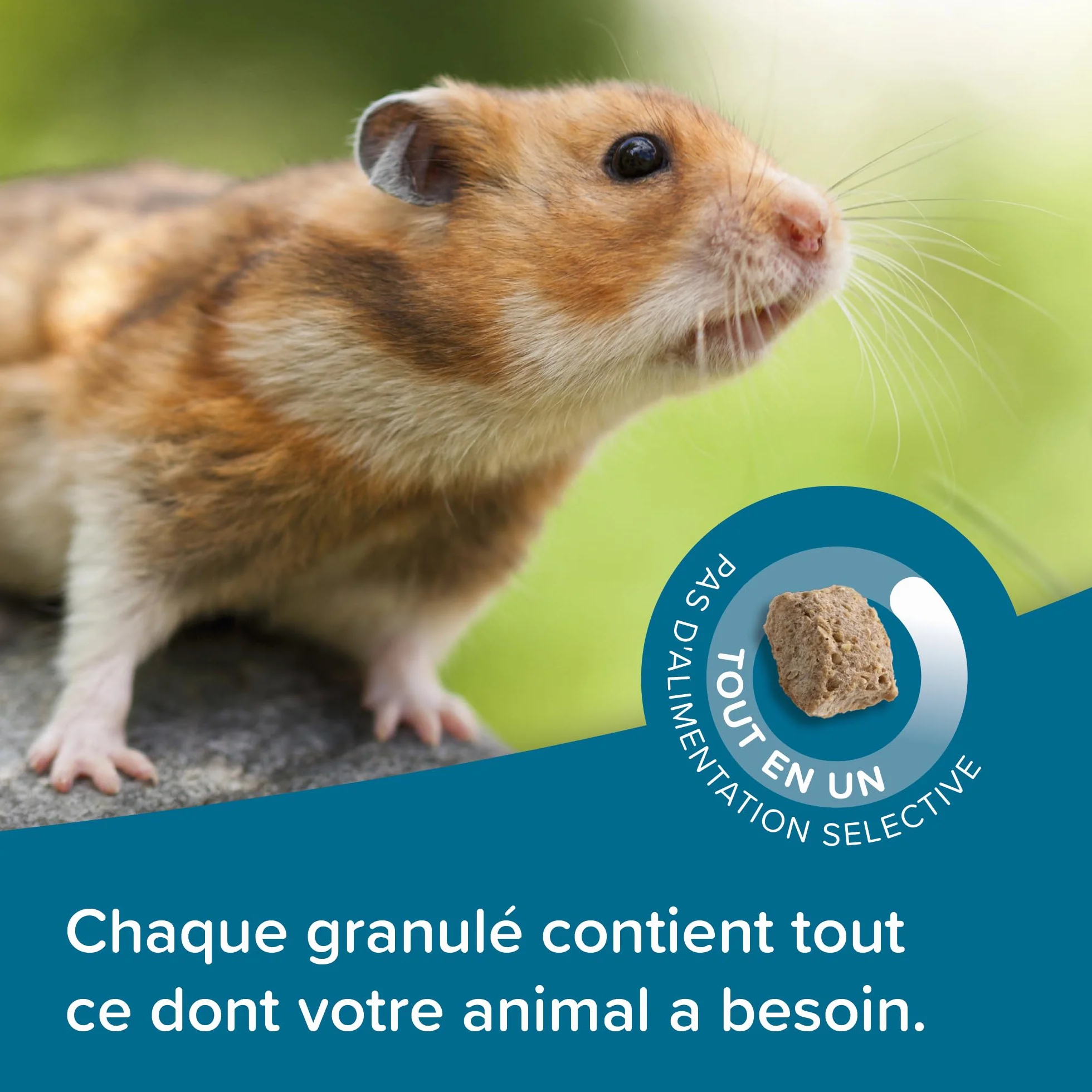 BEAPHAR Care+ Alimentation Super Premium extrudée pour Hamster 700g
