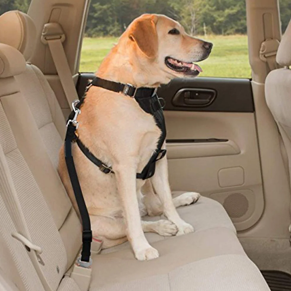 Voiture Ceinture de Securite pour Chien Indéchirable Réglable, 2 Pcs Harnais Voiture Chien Voiture Universel