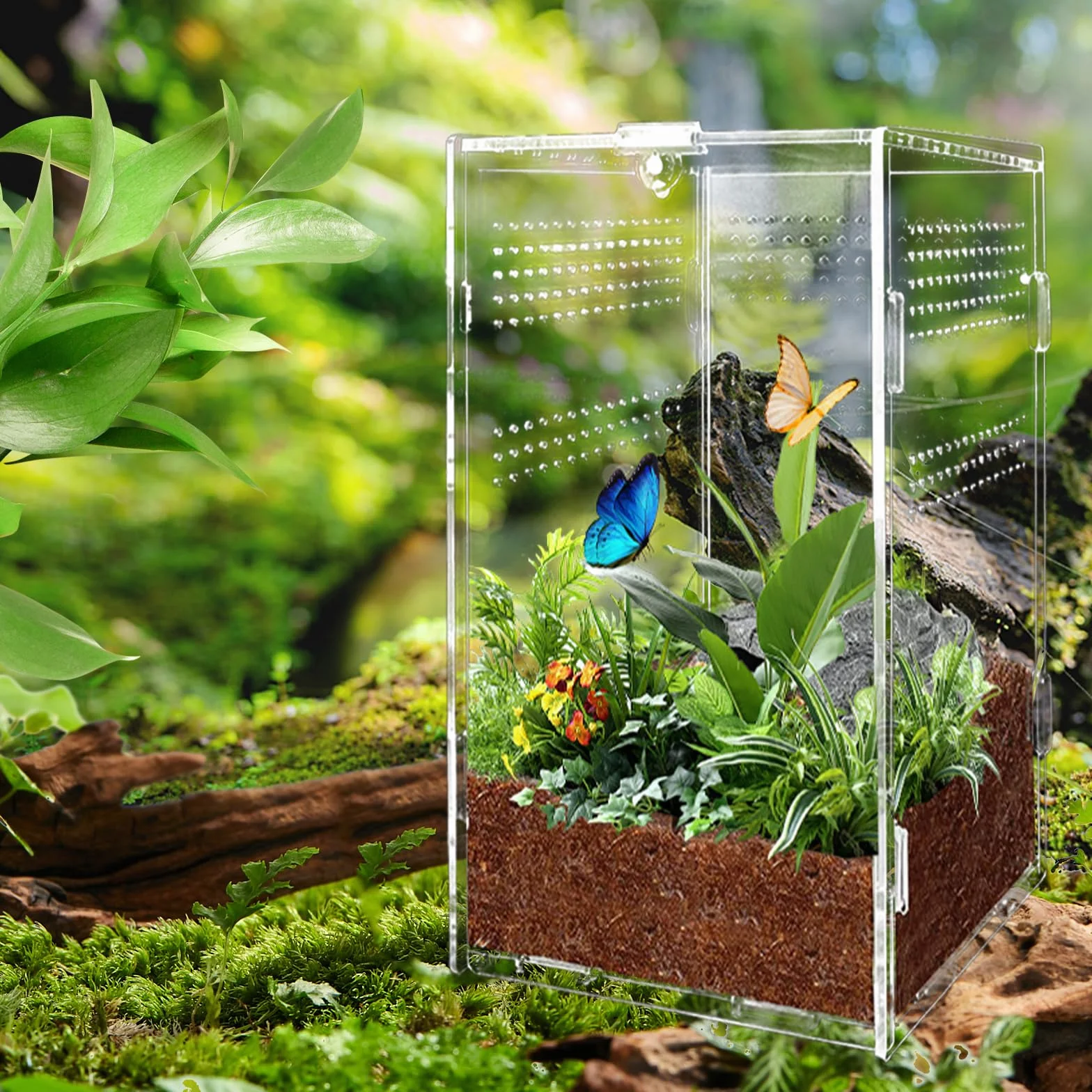 Boîte d'alimentation en Acrylique 12x12x20cm Transparent pour Reptiles avec Trous d'air