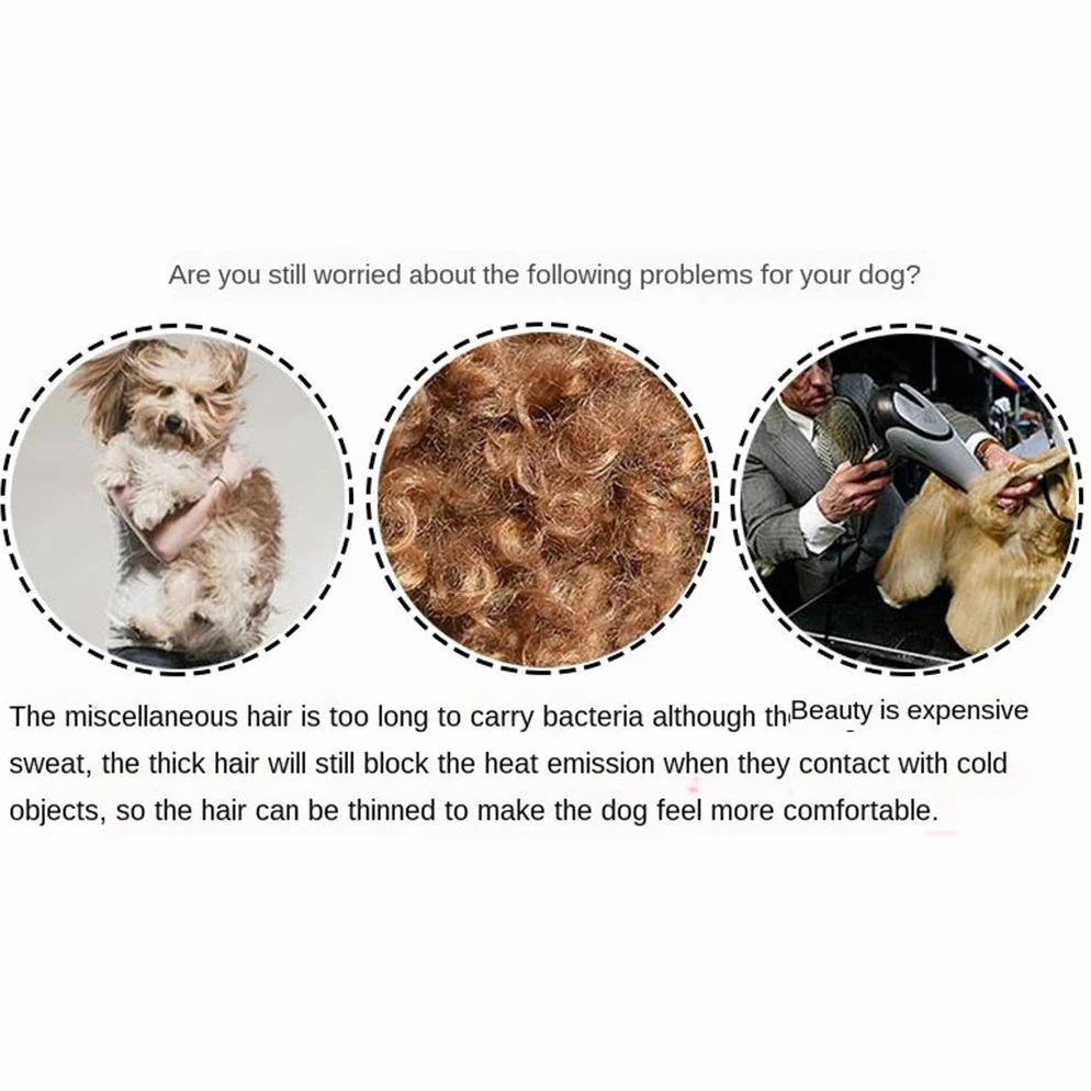 7 Pièces Ciseaux Toilettage Animaux Chiens Chats Ciseaux Coupe Peigne Set Précise Nettoyage Facile Matière Résistante Usage Recommandé pour, Argent, 7 Pouces