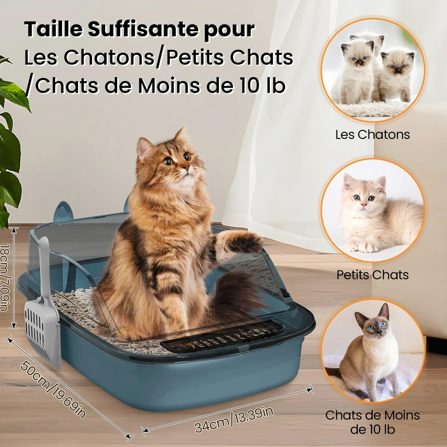 Baoblaze Caisse de Litière pour Chat Adulte, Chaton et Deux Chats Grande Arbre
