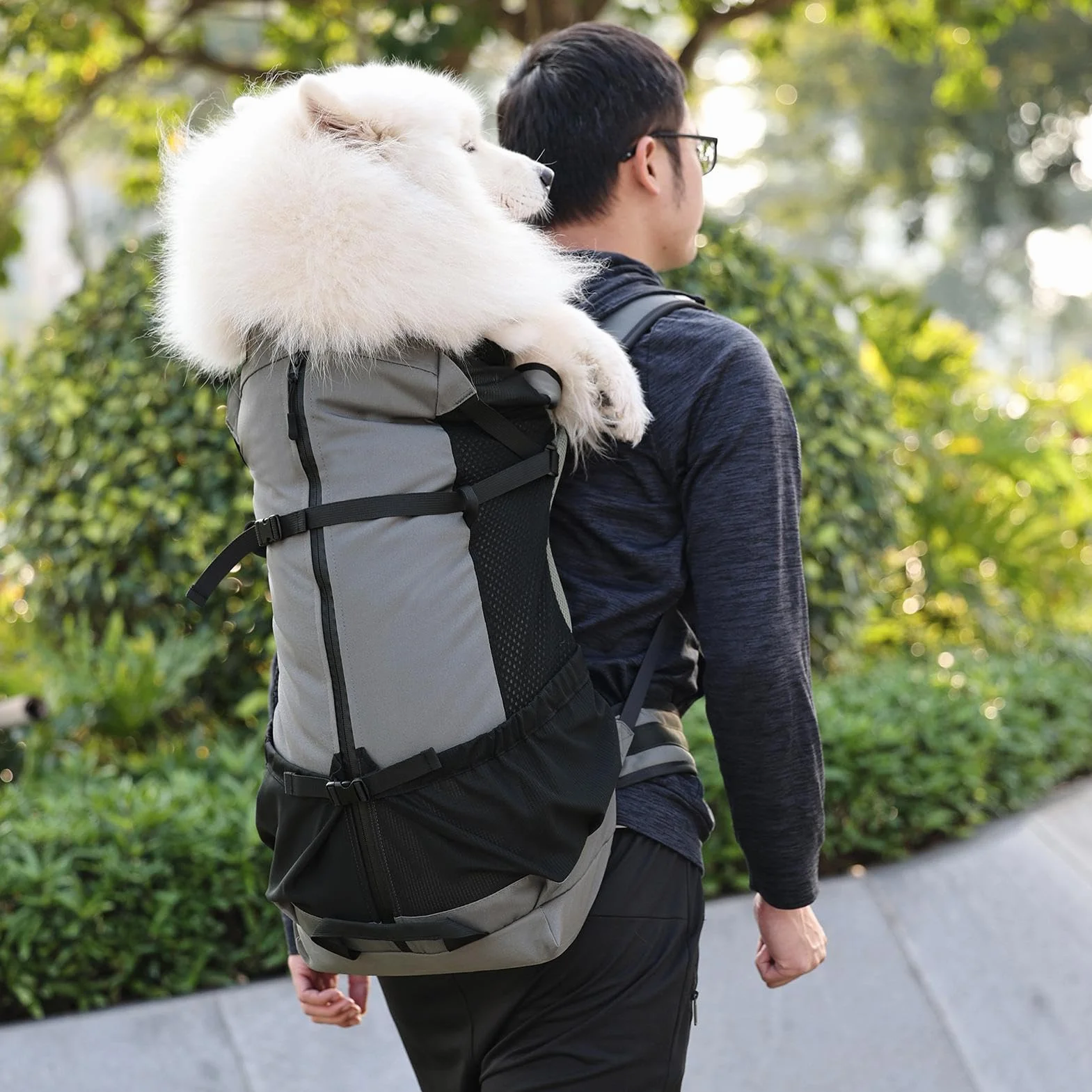 Sac à dos pour chien de transport spacieux en tissu durable anti-pincement avec bretelles réglables et harnais
