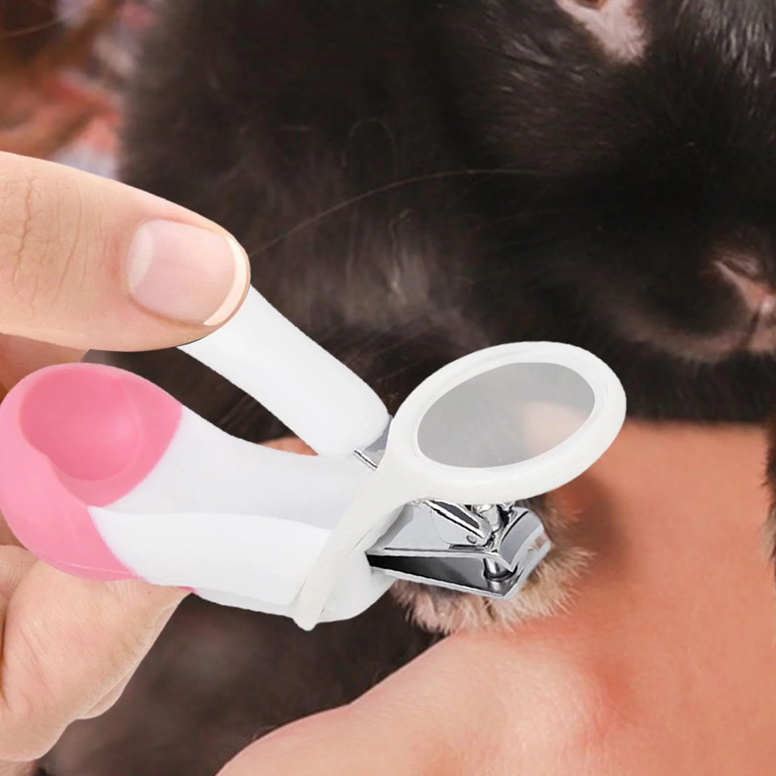 Coupe-ongles pour cochon d'Inde multifonction hérisson hamster lapin