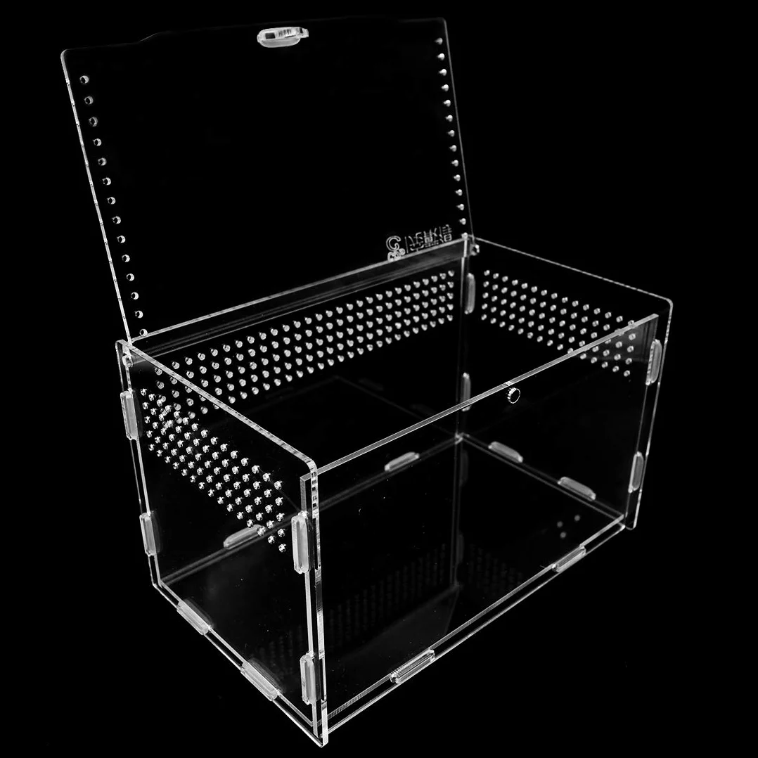 Terrarium en Verre Transparent 20x12x12 cm pour Reptiles avec Pinces