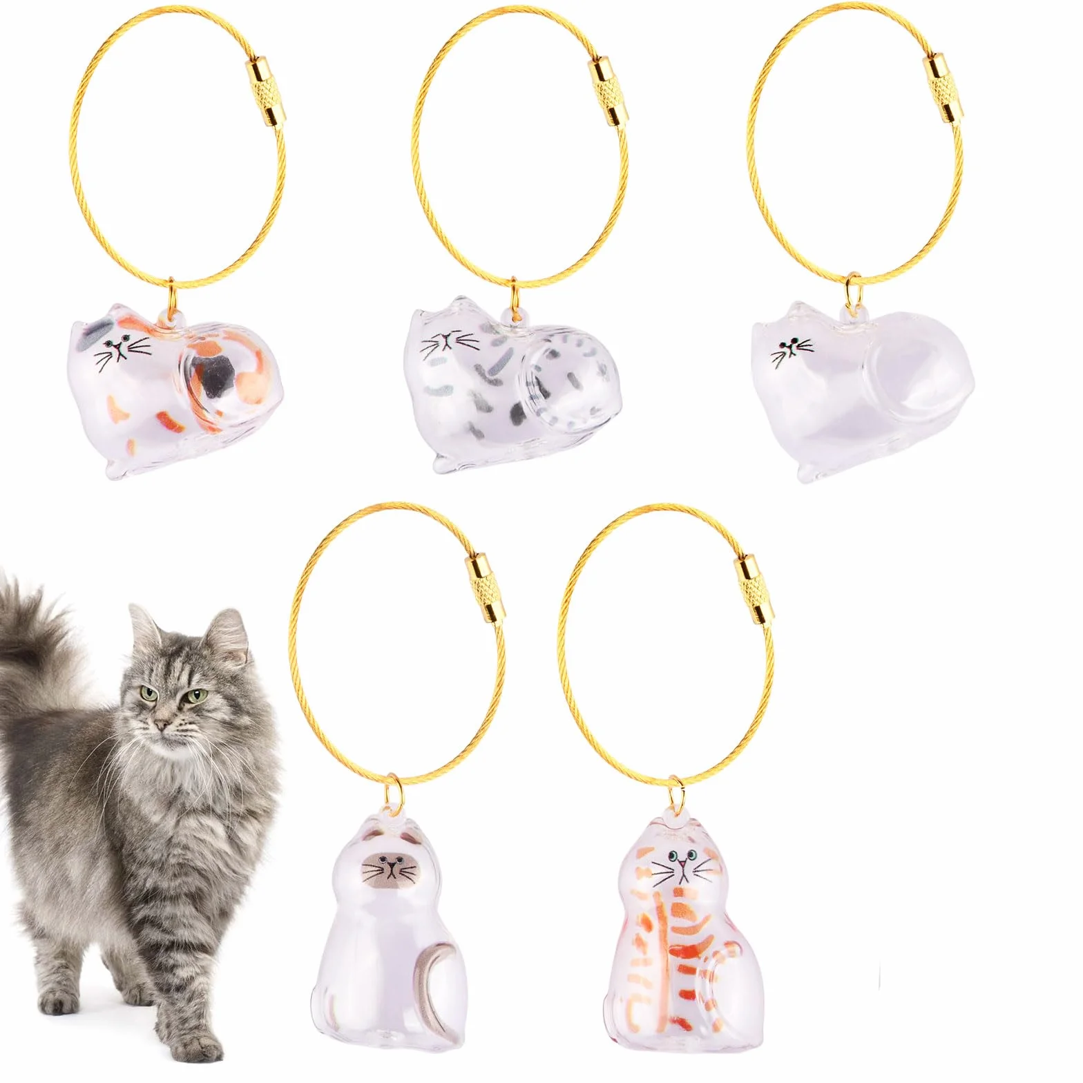 Lot de 6 Porte-Clés en Poils de Chat, Capsules Commémoratives en Acrylique Transparent, Boîte de Rangement pour Poils d’animaux, Idée Cadeau DIY pour Amoureux des Animaux