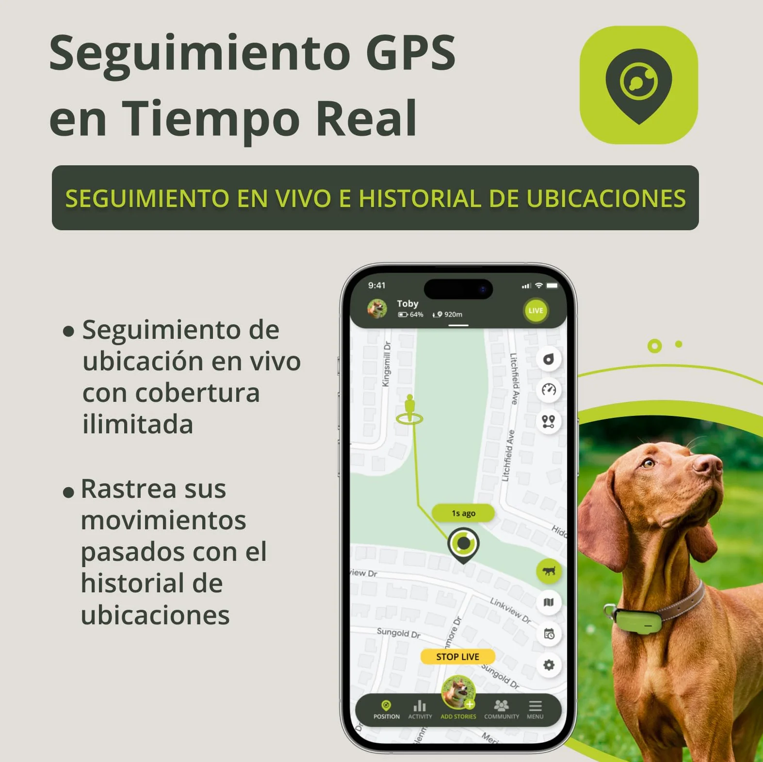 Kippy Pack GPS Chat V2 et Chien - Lot de 2, 1 Collier Chat V2 et 1 pour Chien, Suivi de Santé et d’Activité