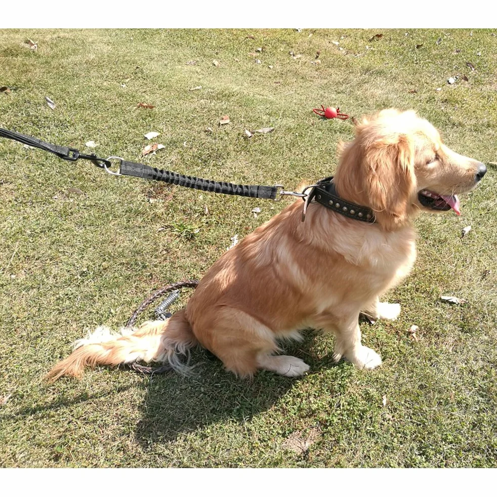 Laisse Antichoc pour Chien Yangbaga Extensible Élastique Nylon pour Petit à Moyen (Noir)