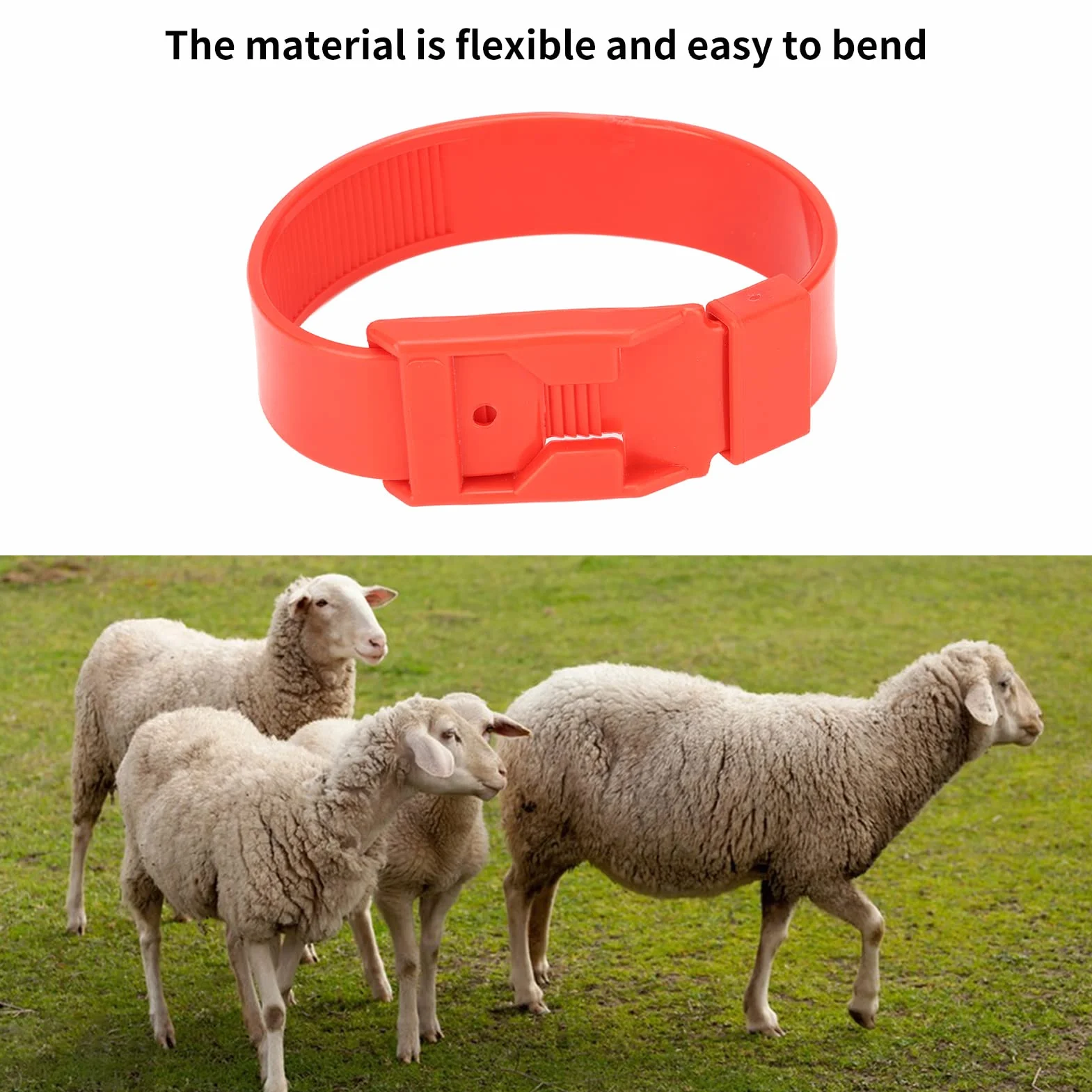 Colliers d'Identification pour Chèvres et Moutons, Bandes de Marquage de Bétail, Rouge, 36 cm, 10 Pièces, pour Petits Animaux de Ferme