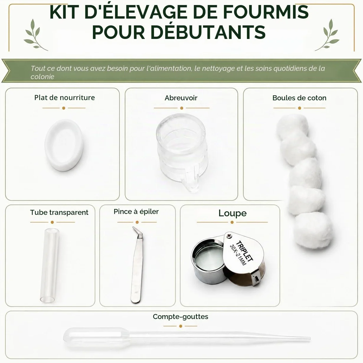 Formicarium Kit Éducatif Habitat de Ferme pour Fourmis Vivantes Reines