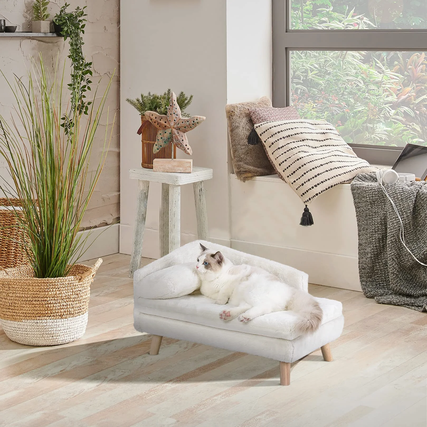 BingoPaw Canapé pour Chien Petite Taille, Lit Surélevé avec Coussin Lavable, 70.5x38x23.5cm