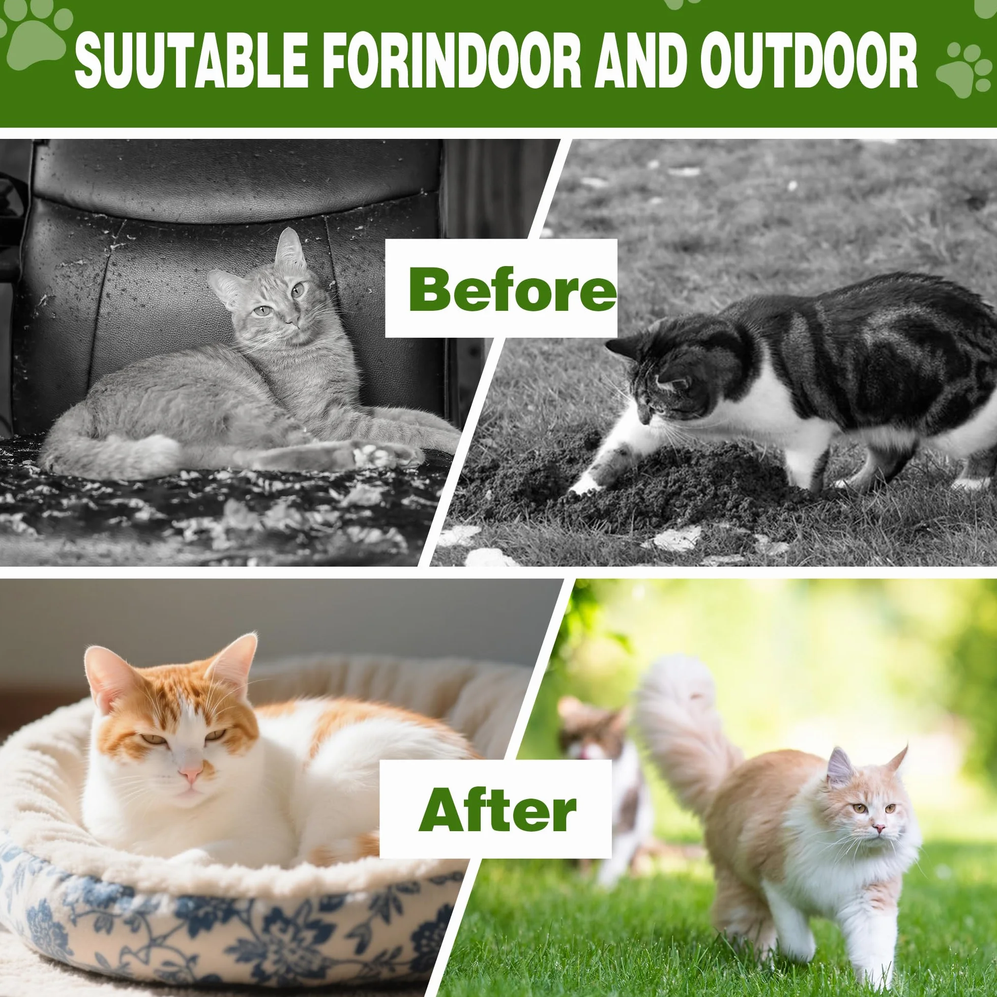 Répulsif pour chats à l'huile de menthe poivrée naturelle extérieur, lot de 24