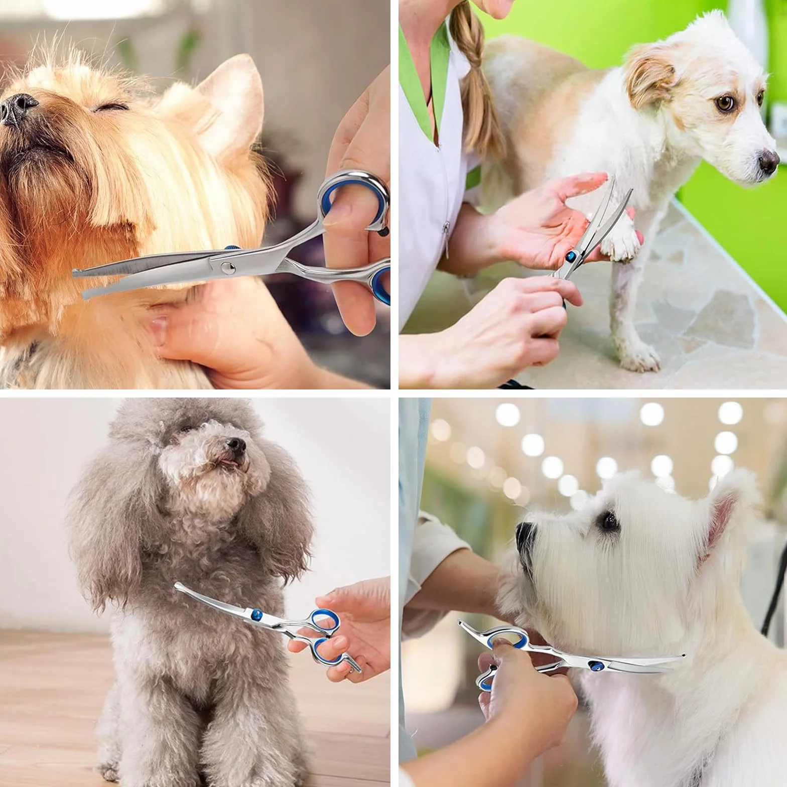 Ciseaux de toilettage pour chiens et chats en acier inoxydable bleu