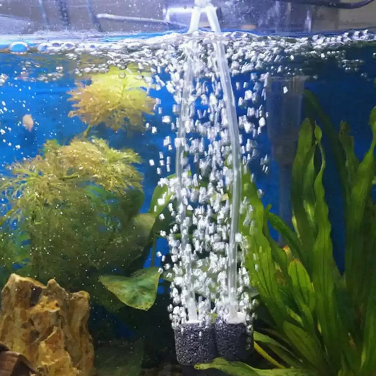 Tuyau d'air pour aquarium 10 m 4-6 mm pompe à air souple