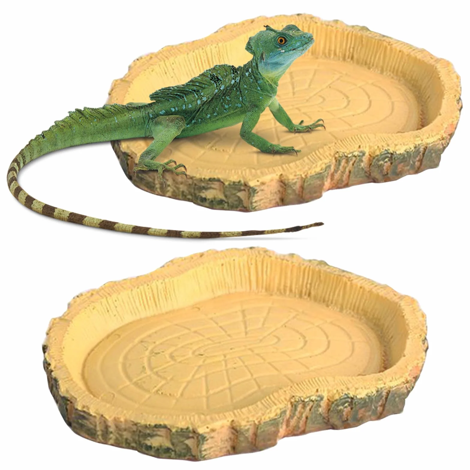 Lithyc 2 pièces Bols à Eau pour Reptiles - Abreuvoir Tortue Terrestre - Nourriture Bol Reptiles en Feuilles