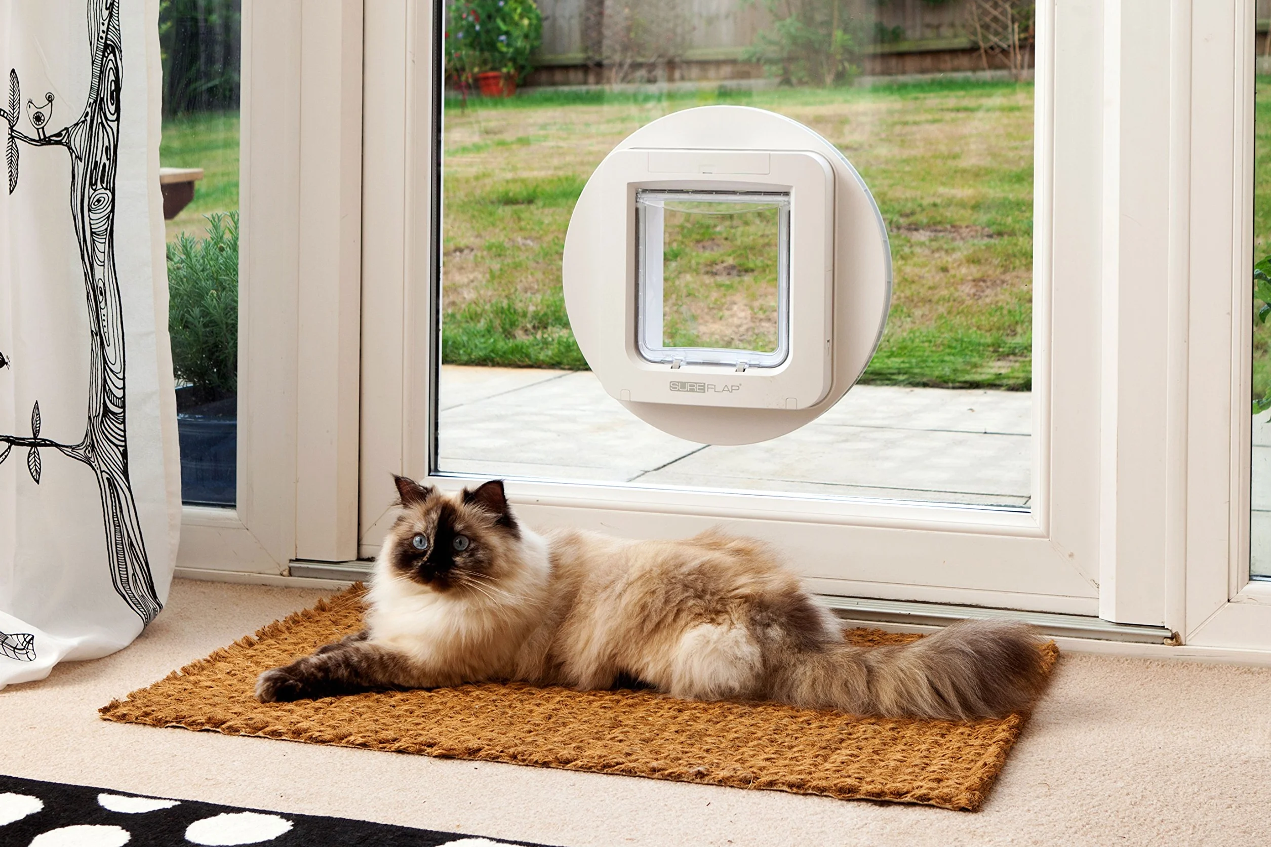 SureFlap Sure Petcare Grande chatière à Puce électronique pour Chats et Petits Chiens, Fonction Couvre-feu, Blanc
