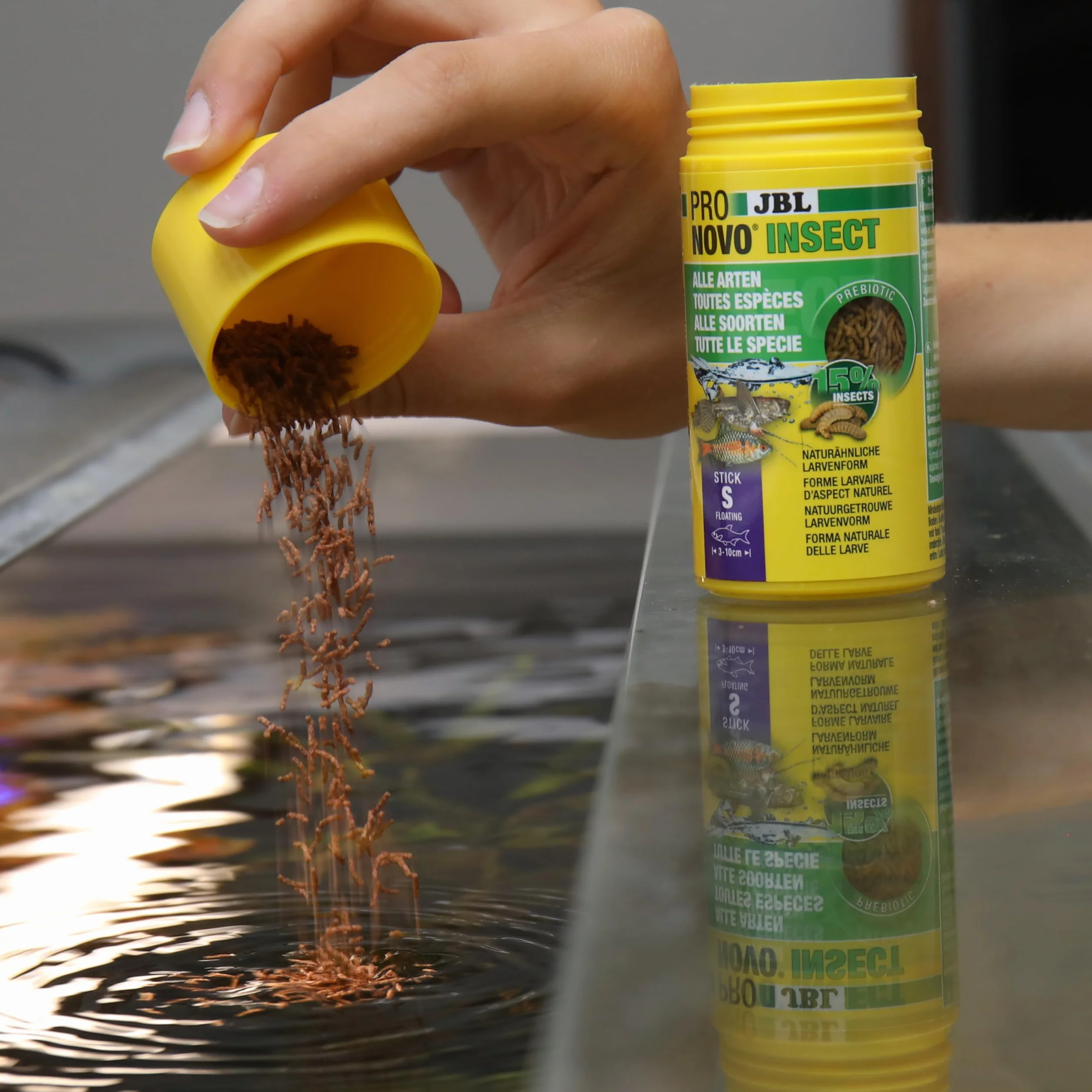 JBL PRONOVO INSECT STICK, Aliment pour Poissons d'Aquarium 3-10 cm, Bâtonnets, Doseur à clic, taille S, 100 ml