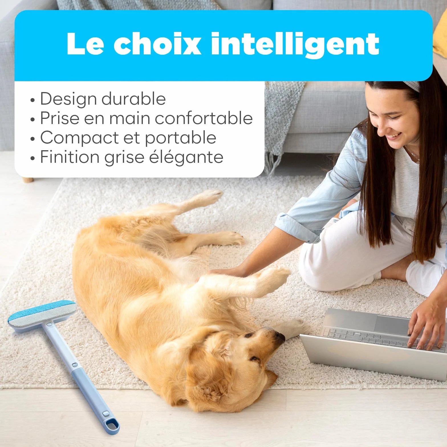 Ramasse-Poils Réutilisable pour Canapé, Tapis & Textiles, Brosse à Poils Animaux, Manche Amovible