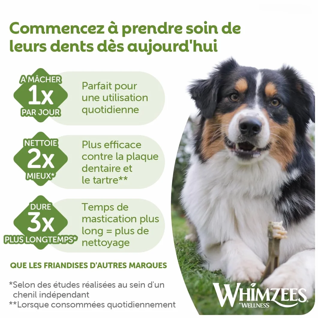 WHIMZEES Hérisson L, 6 Pièces – Friandises Naturelles pour Grands Chiens