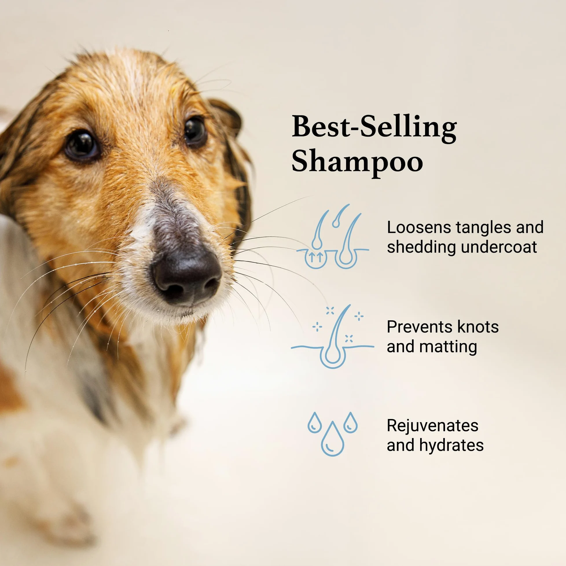 iGroom Shampooing démêlant et démêlant pour chien, soin de beauté de luxe pour animaux de compagnie, desserre les nœuds + sous-poil indésirable, fabriqué aux États-Unis, 3.8 l