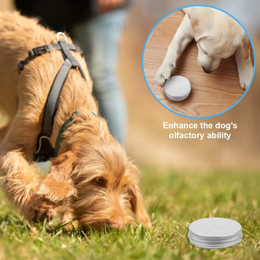 Kit De Formation De Parfum pour Chien,5 pièces,Training scent nose odor container round tin metal containers holder sniffing accessory tool work for,12 en Aluminium,Agility Training Equipment