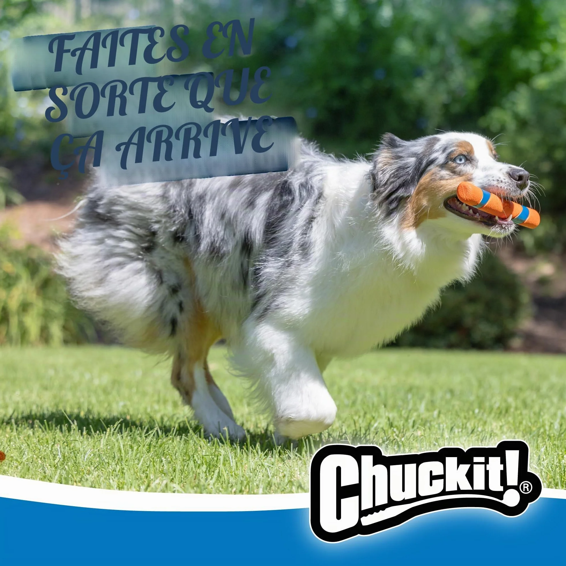 Chuckit! Ultra Fetch Stick Bâton à Poursuivre et à Mâcher pour Chien Caoutchouc Robuste Taille Unique