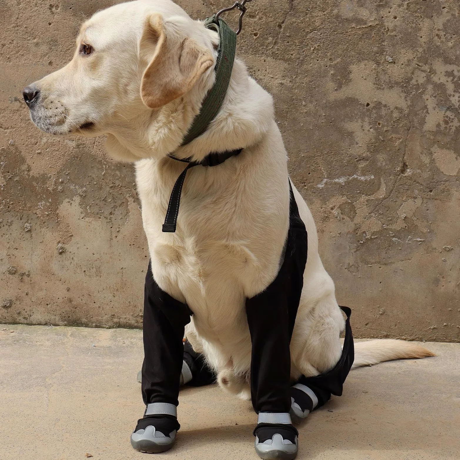 Bottes De Neige À Bretelles Pour Chien Chaussons Ajustables Anti-Dérapant | Chaussures À Suspentes Pour Chien Pour Marche Extérieure Hiver Neige Pluie