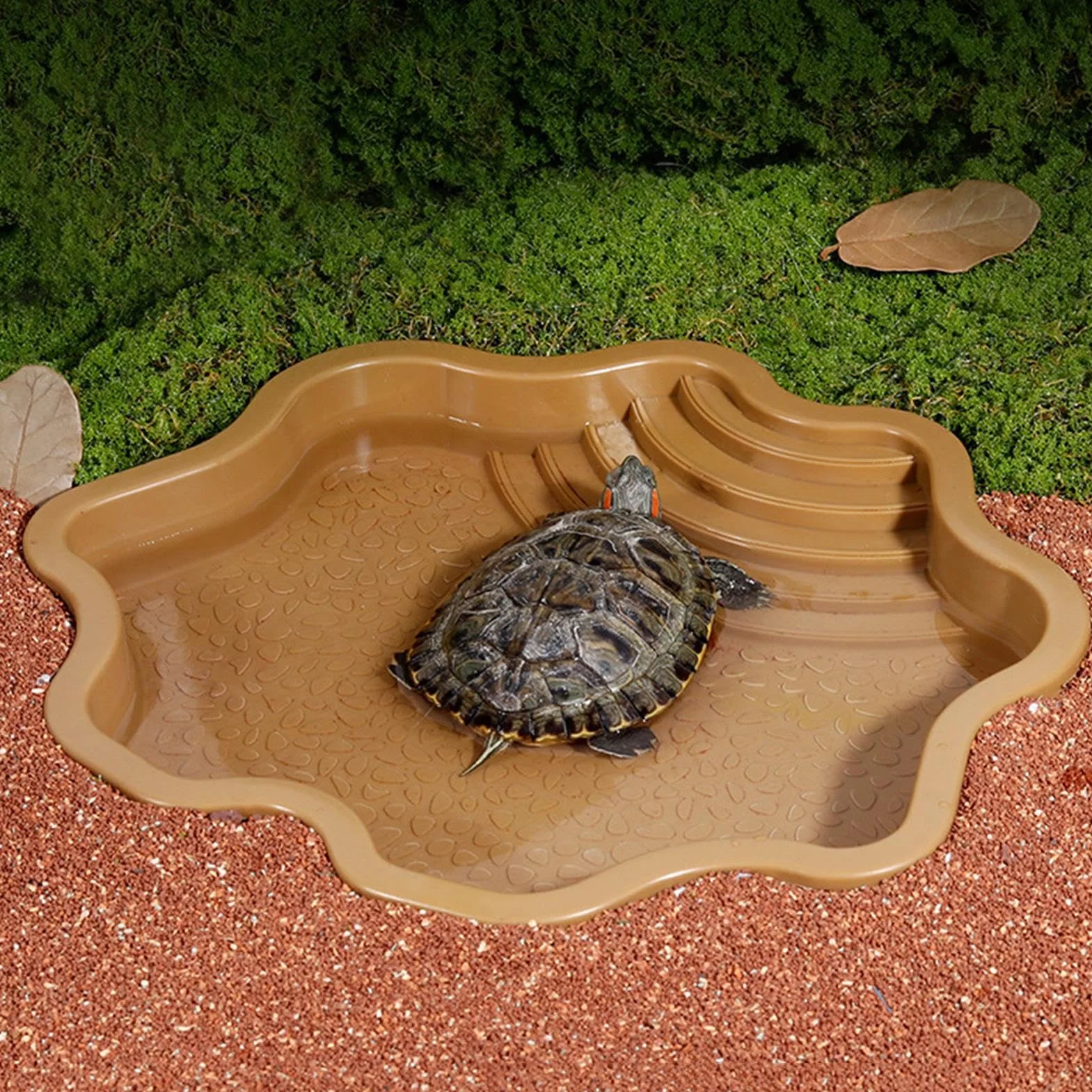 Baignoire pour Reptiles avec Rampe pour Lézards et Tortues