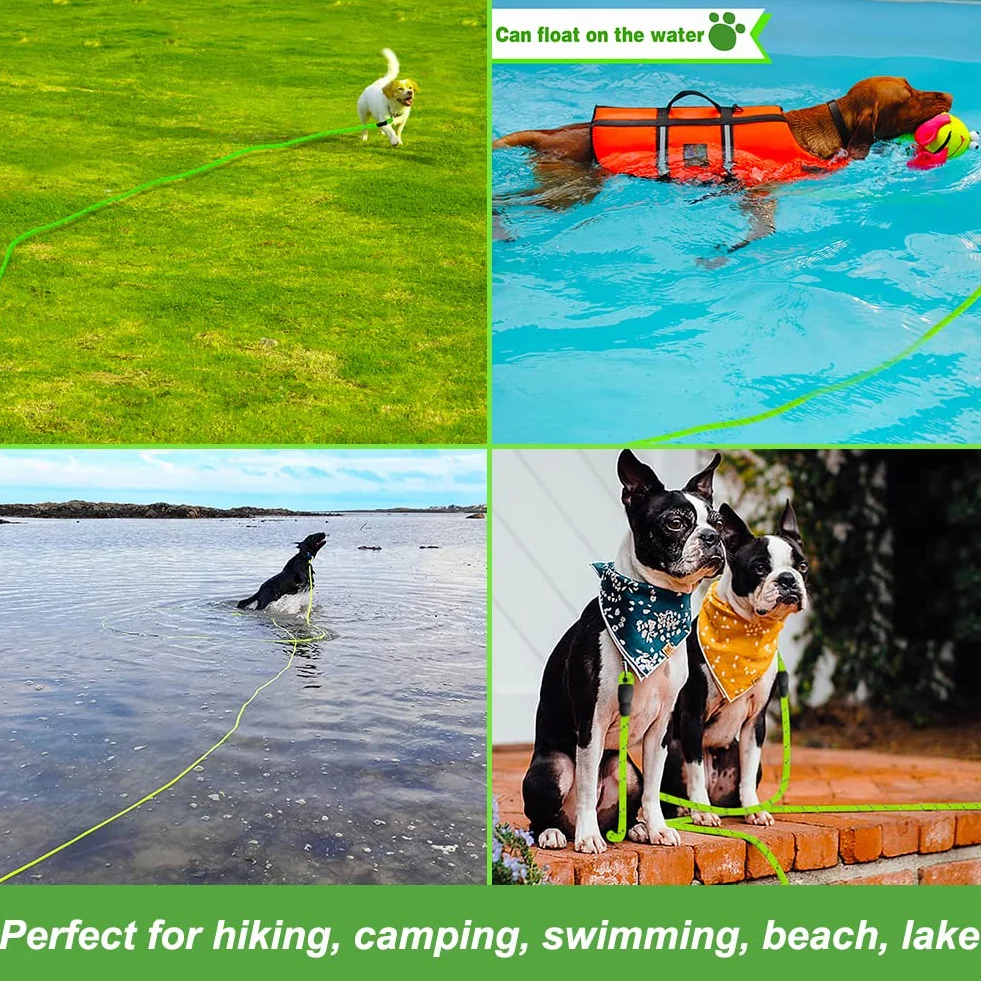 Vivifying Longue Laisse Flottante Réfléchissante pour Chien avec Poignée Souple Vert