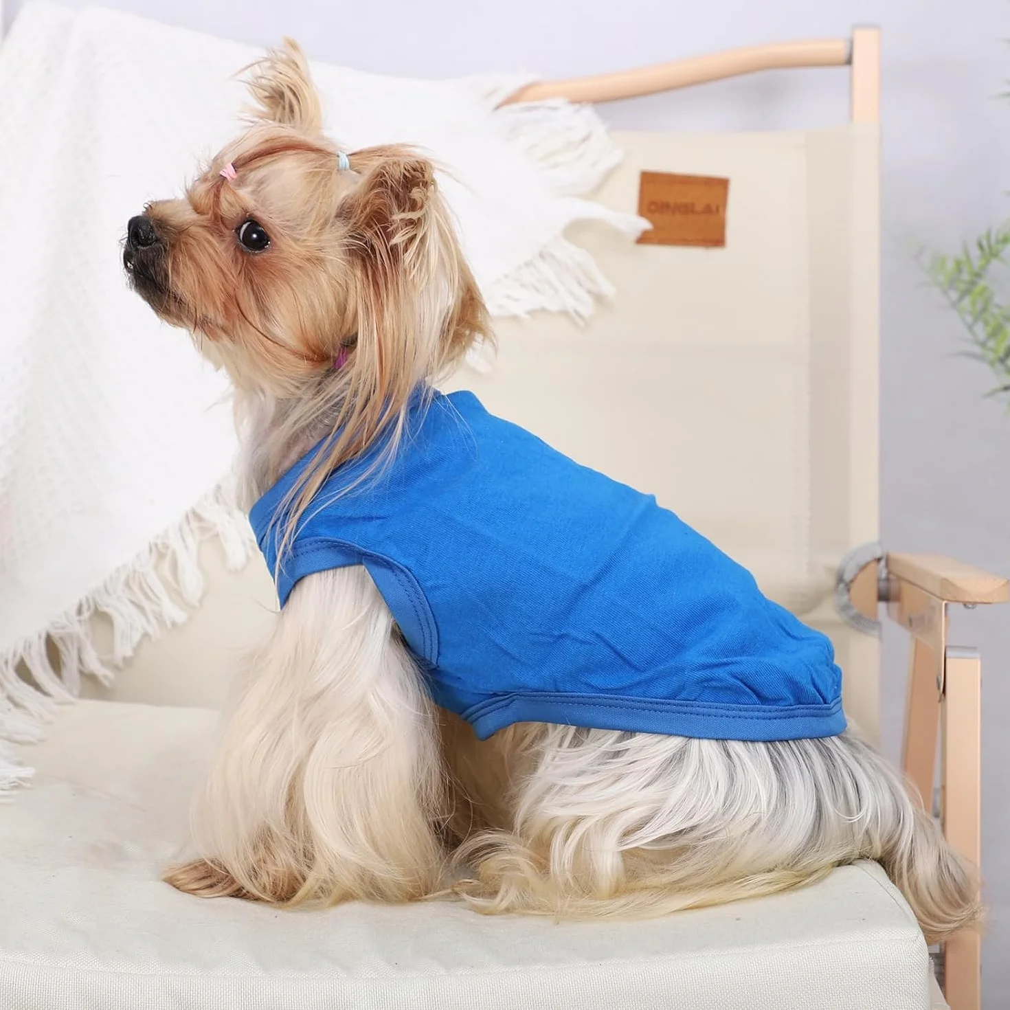 Gilet Rafraîchissant pour Chien de Refroidissement pour Petite et Moyenne Taille Bleu
