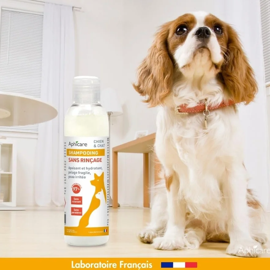 Shampooing Doux sans rinçage 200 ML Chien Chat Apaisant Hydratant 97% d’Origine Naturelle Fabrication française