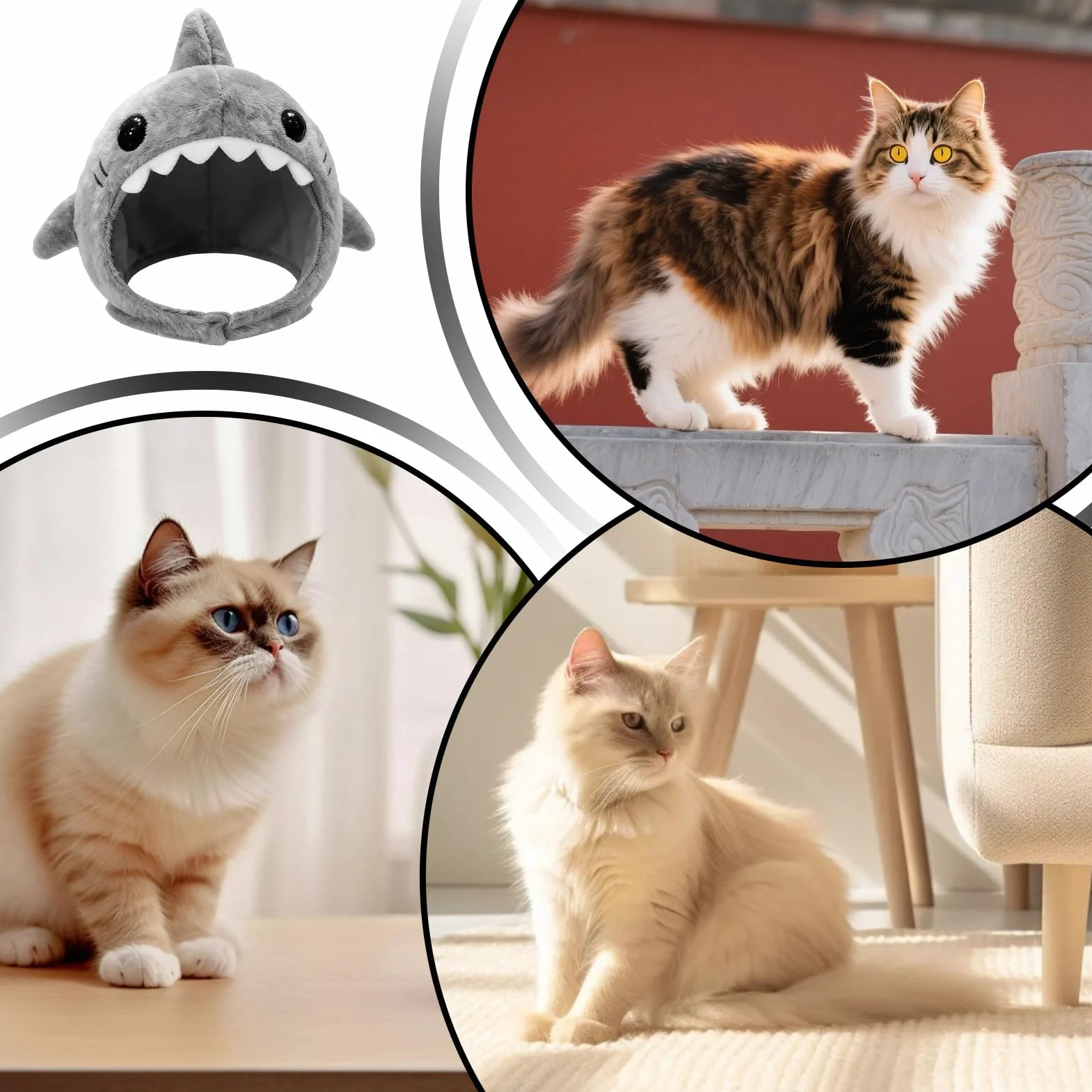 Mignon chapeau de chat requin accessoire réglable bonnet cosplay chaton