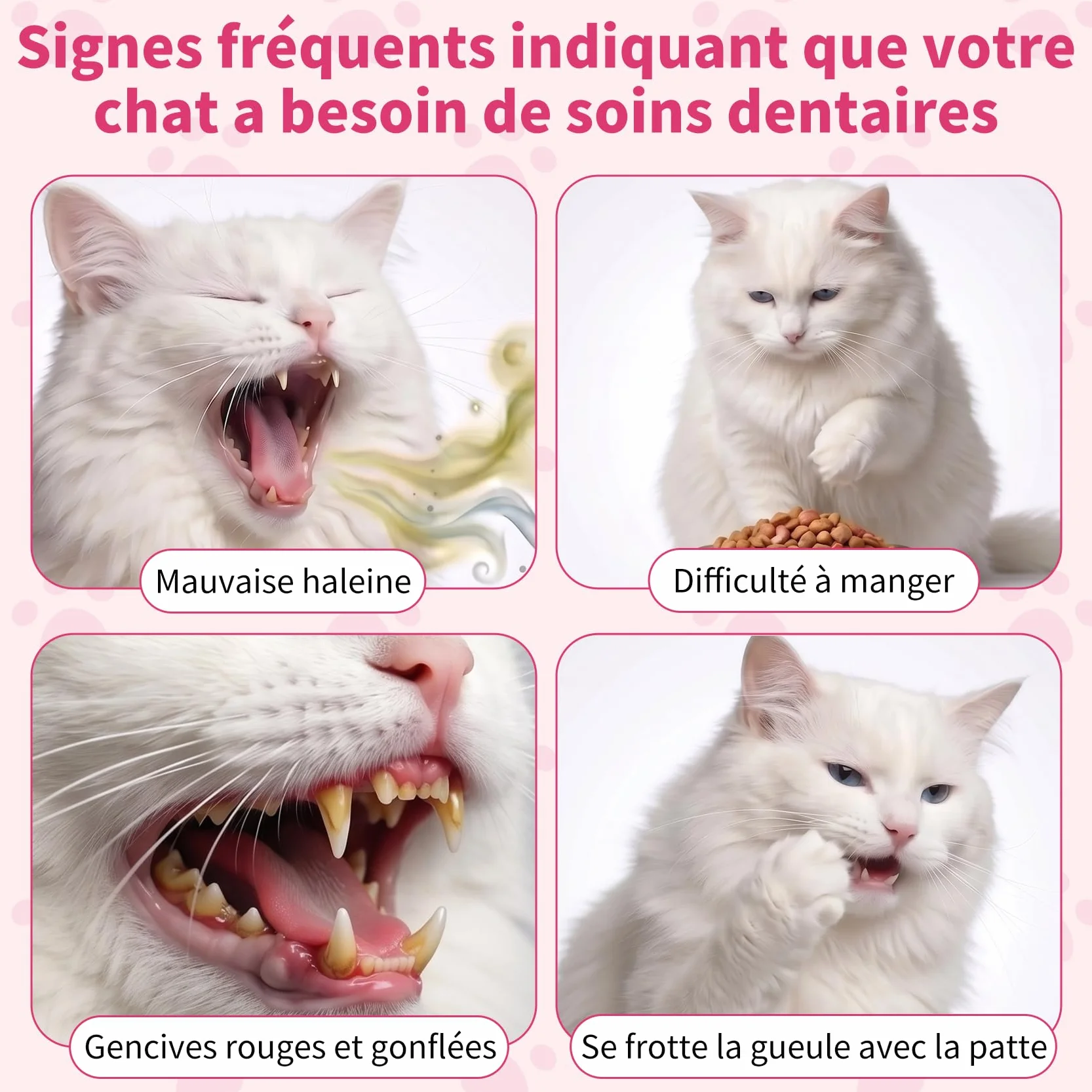 Dentifrice Enzymatique pour Chats - Kit Dentaire 30g